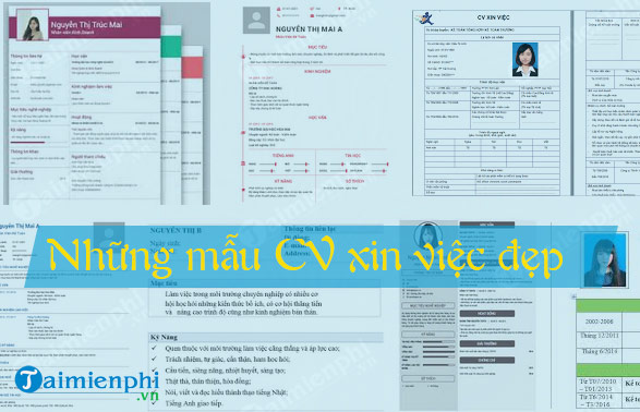 cv xin viec