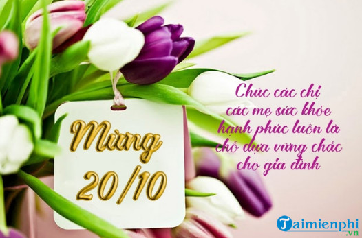 psd 20 10