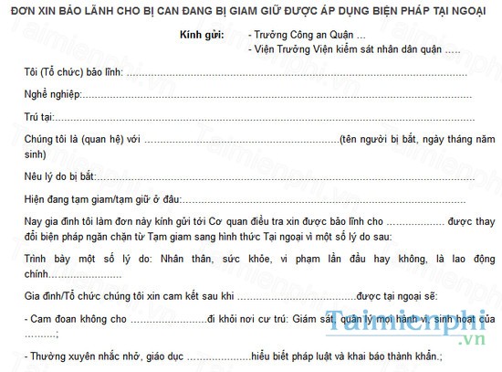 download mau don xin bao lanh cho bi can dang bi tam giu duoc ap dung bien phap tai ngoai