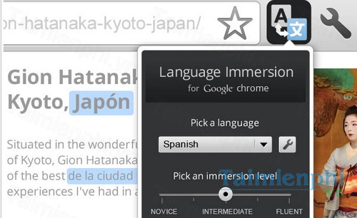 download language immersion for chrome