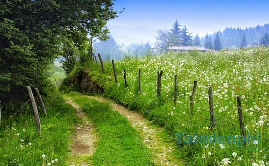 download footpaths theme