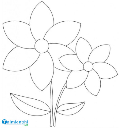 Periwinkle Flower Black And White Floral Macro  Tranh Tô Màu Bông Hoa  5 Cánh  710x720 PNG Download  PNGkit