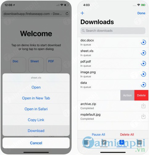 Browser and Download Manager cho iPhone