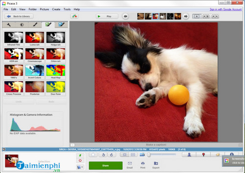 tai picasa